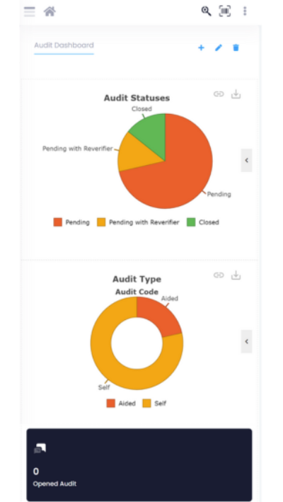 Infizo Usage Software - Infizo Usage audit status and type