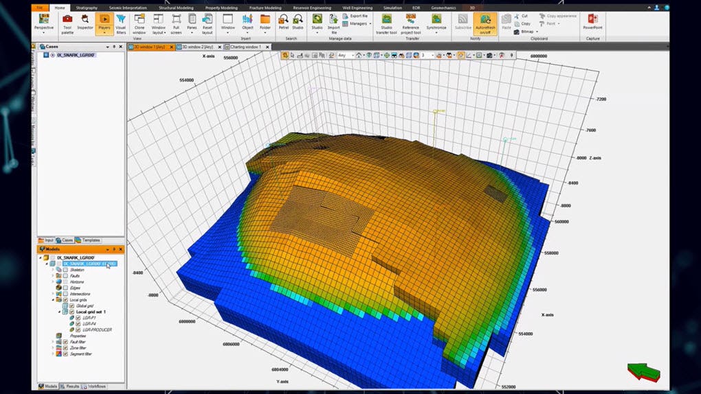 Petrel E&P Software Platform Logiciel - 2