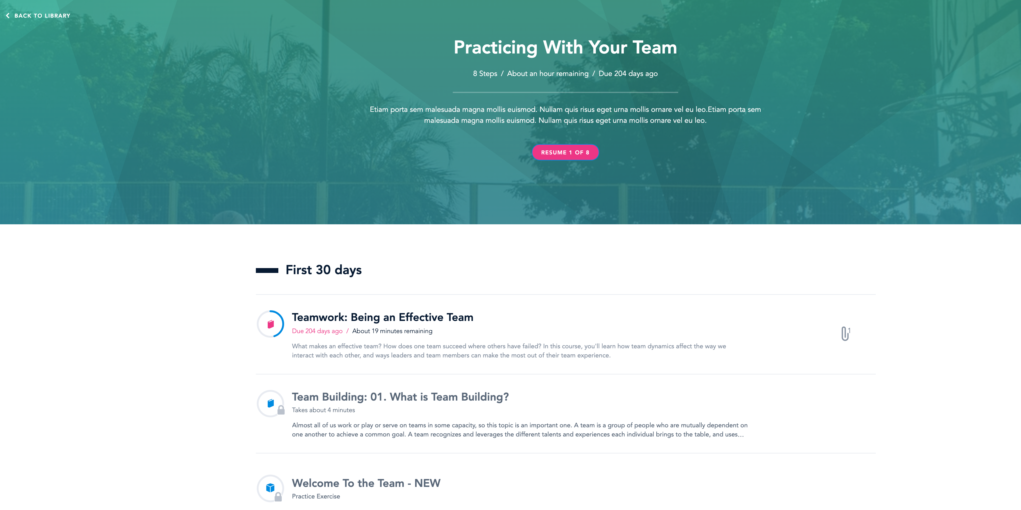 BRIDGE Software - 3