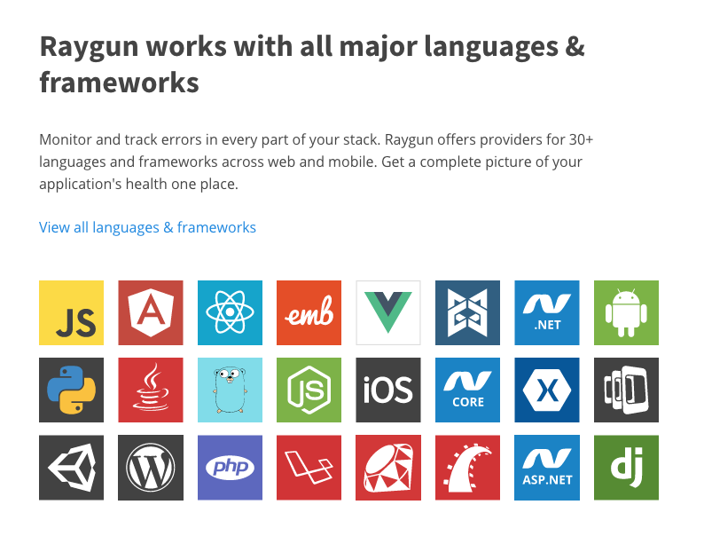 Raygun Logiciel - 3