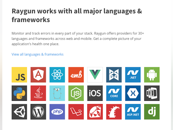Raygun Software - 3