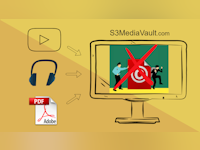 S3 Media Vault Software - 1