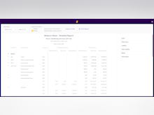 Eleven Software - Accurate Balance Sheet Reports.