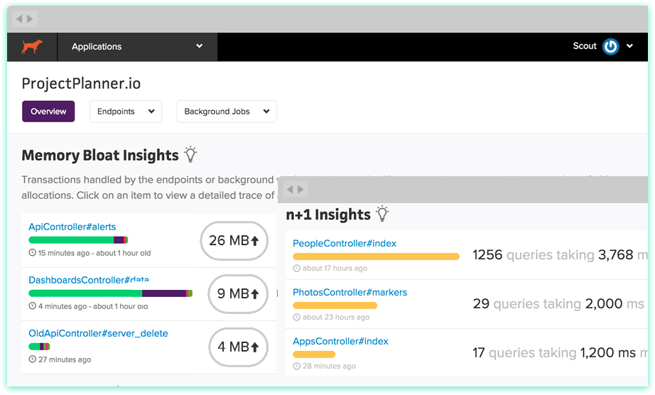 Scout APM Software - Account insights