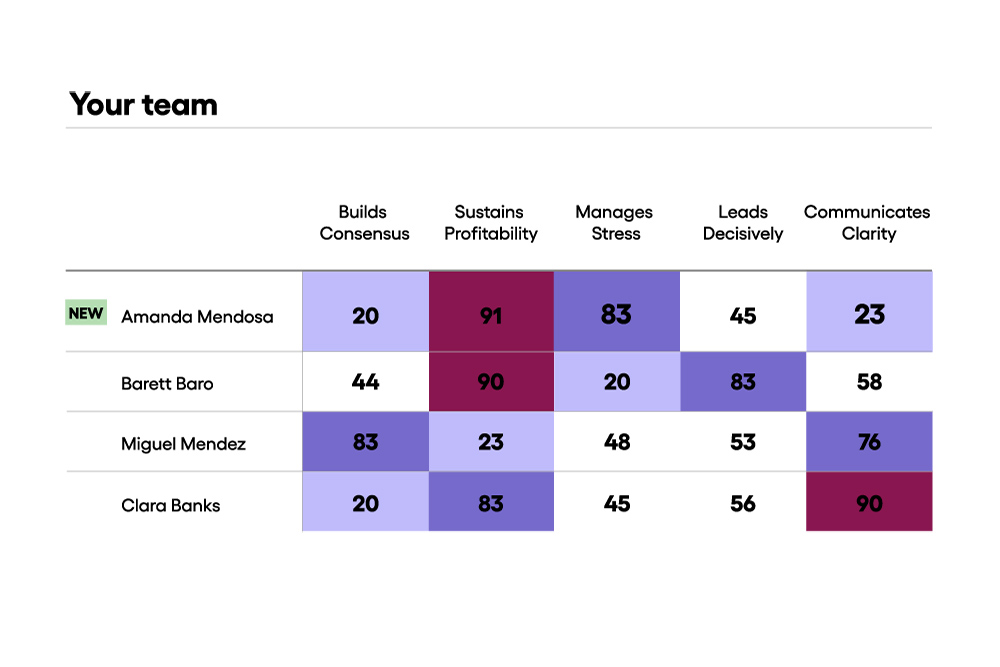 Visualize behavioral preference levels per competency (26) per individual in one dashboard