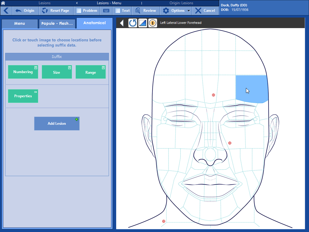 PracticeStudio Software - Anatomy