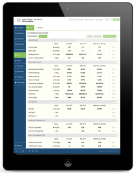 ProfitSee screenshot: Use both financial and non-financial metrics to measure how clients’ businesses are performing compared to one another