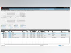 Infor LN Software - Infor LN invoicing - thumbnail