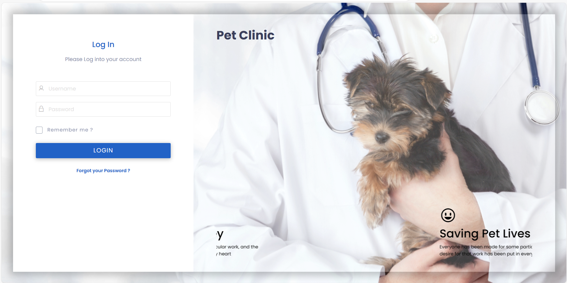 PetAladdin Veterinary Practice Management Software Login Page