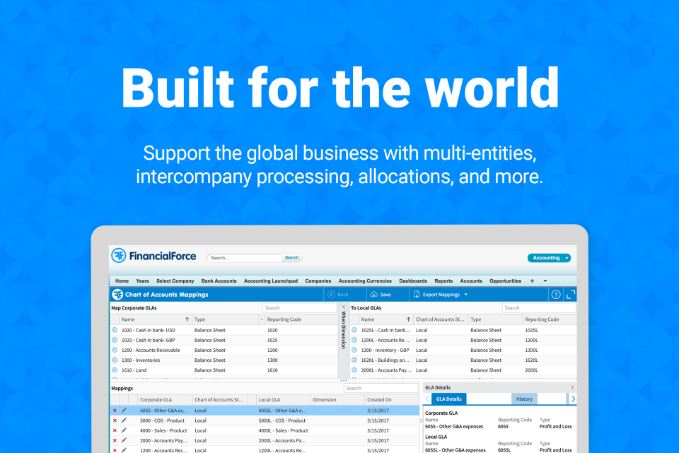 FinancialForce Accounting Software - 5
