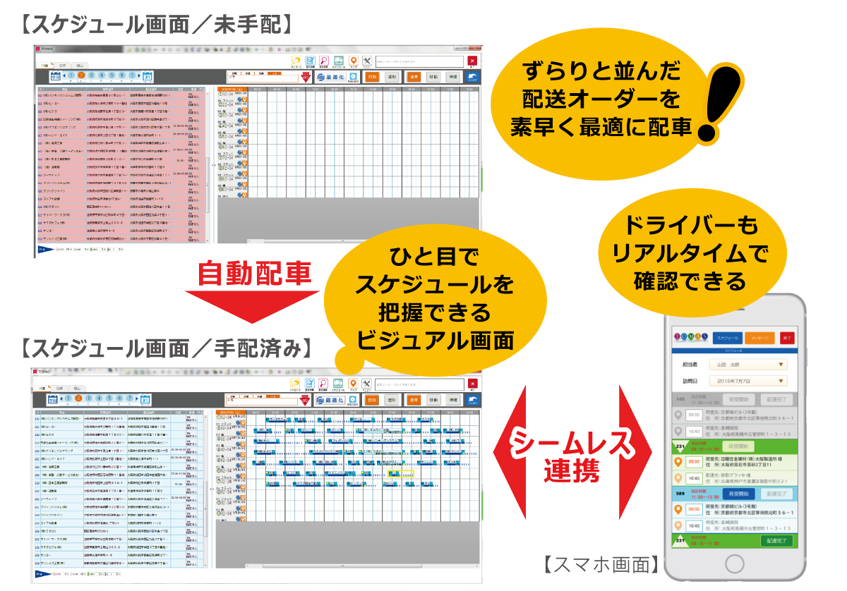 TOMAS Software - 1