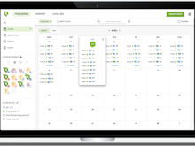 Post Planner Software - View your posting schedule in your own calendar view.