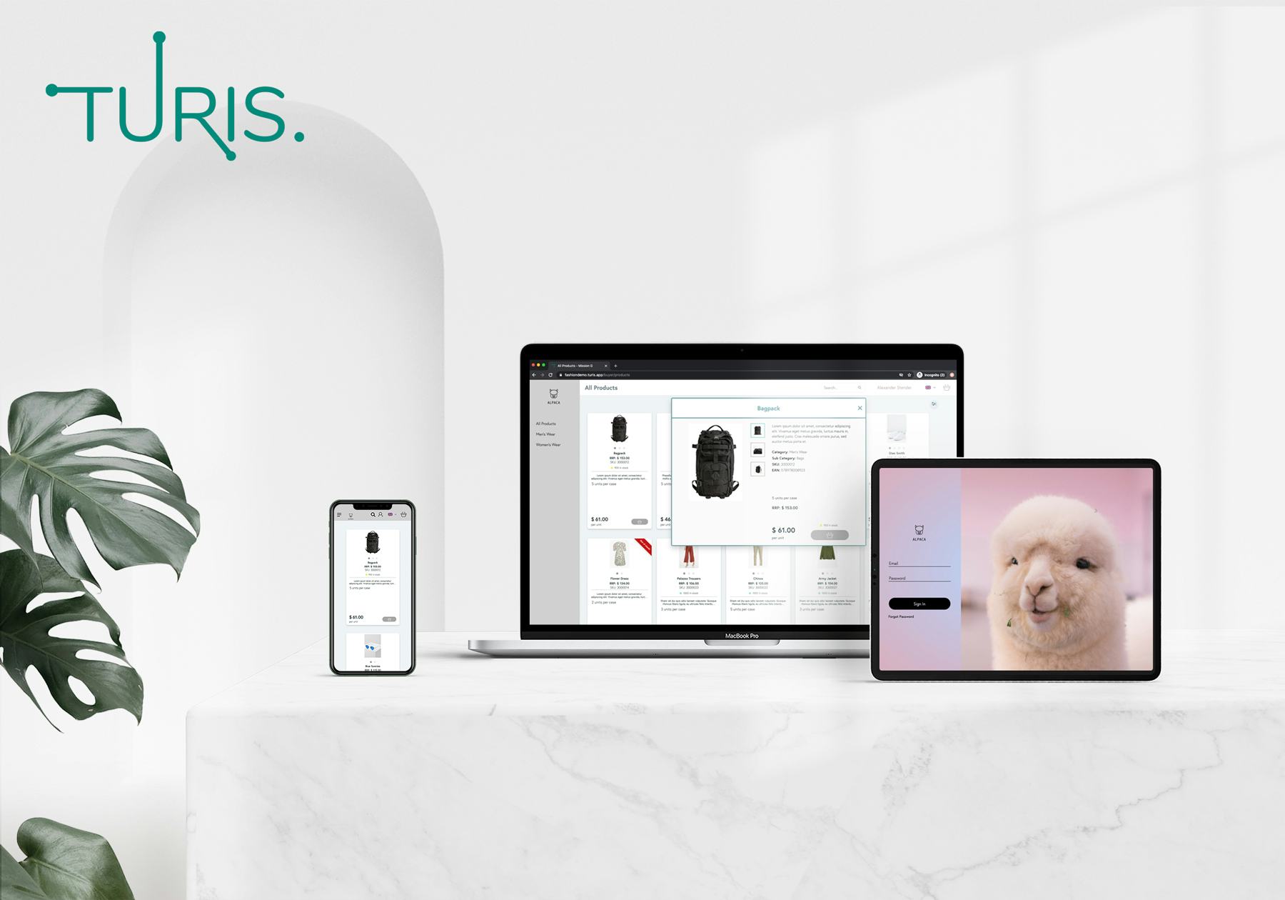 Turis Software - 2