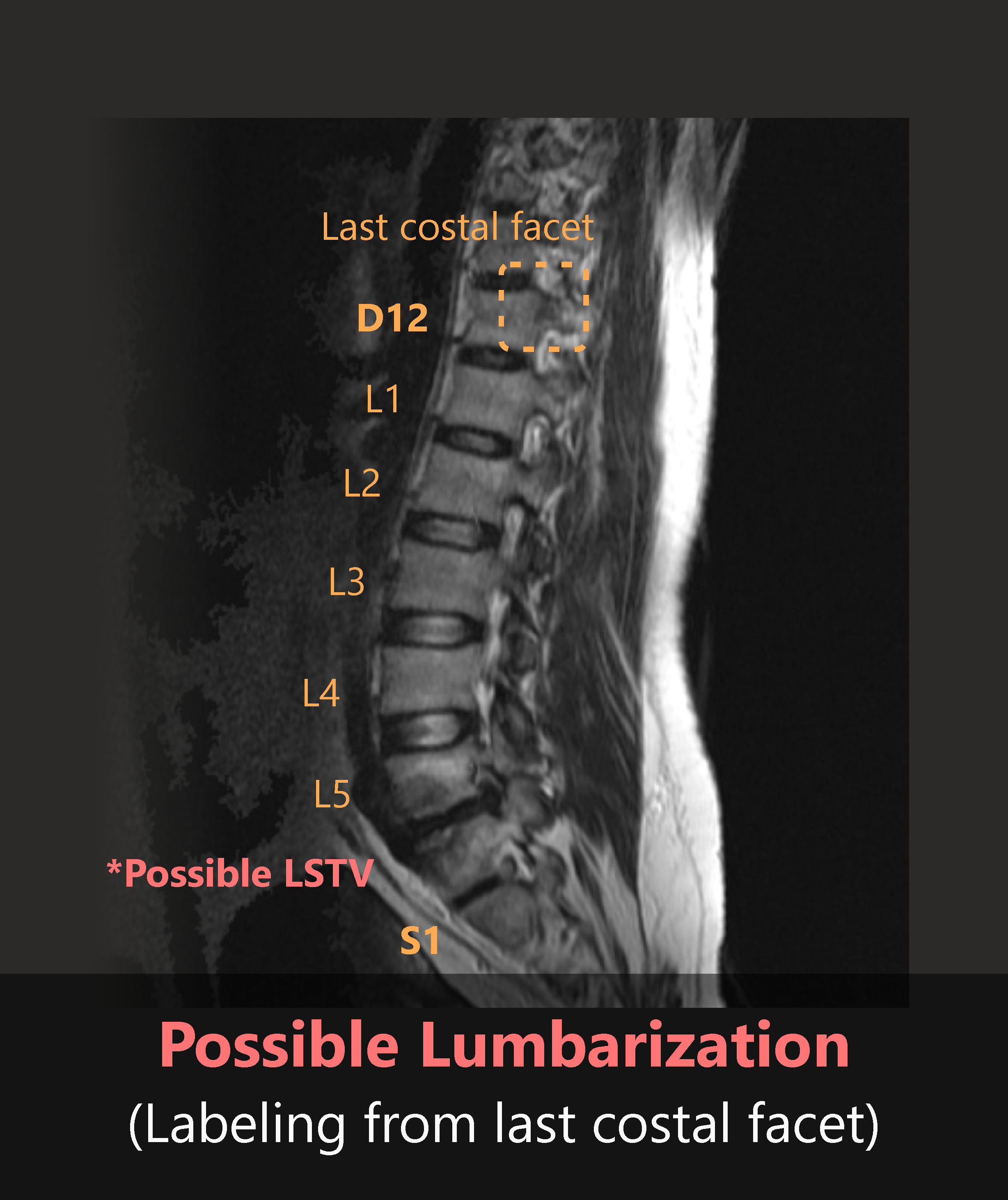 Spindle Pricing, Alternatives & More 2023 Capterra