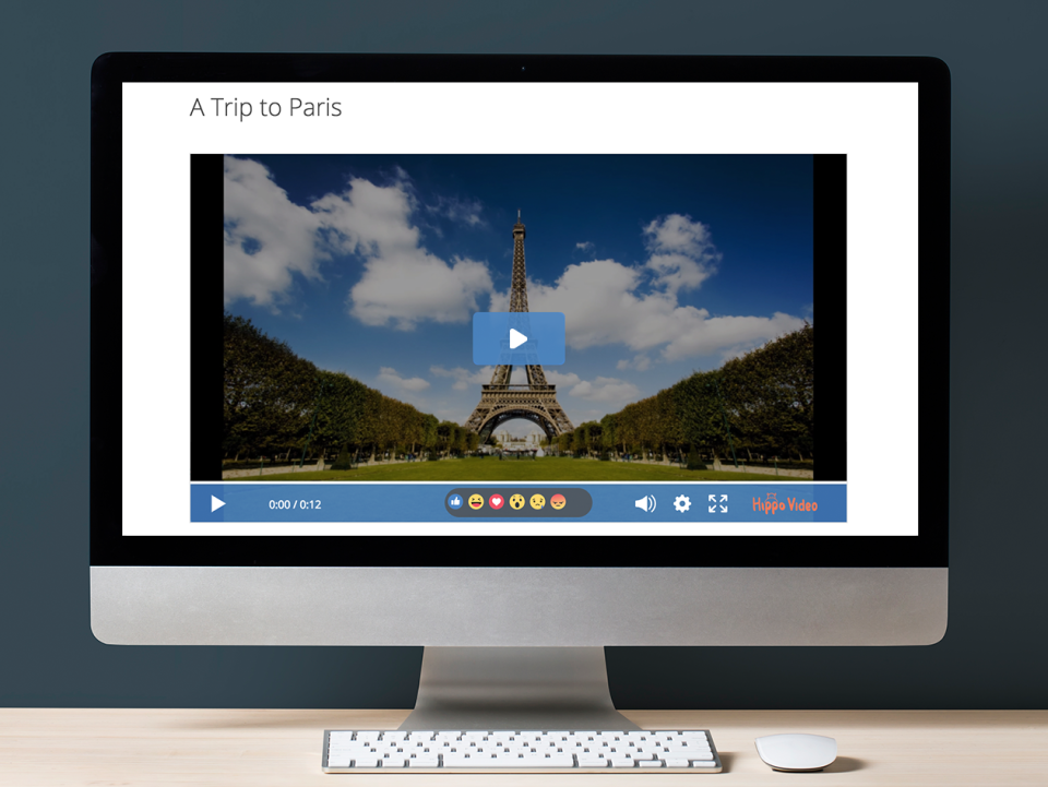 Hippo Video Software - 3