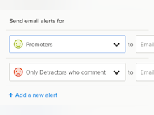 Delighted Software - Alerts, including email alerts, facilitate the routing of feedback to the right person or team contact within an organization