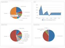 Versa Cloud ERP Software - Customizable reporting and business intelligence