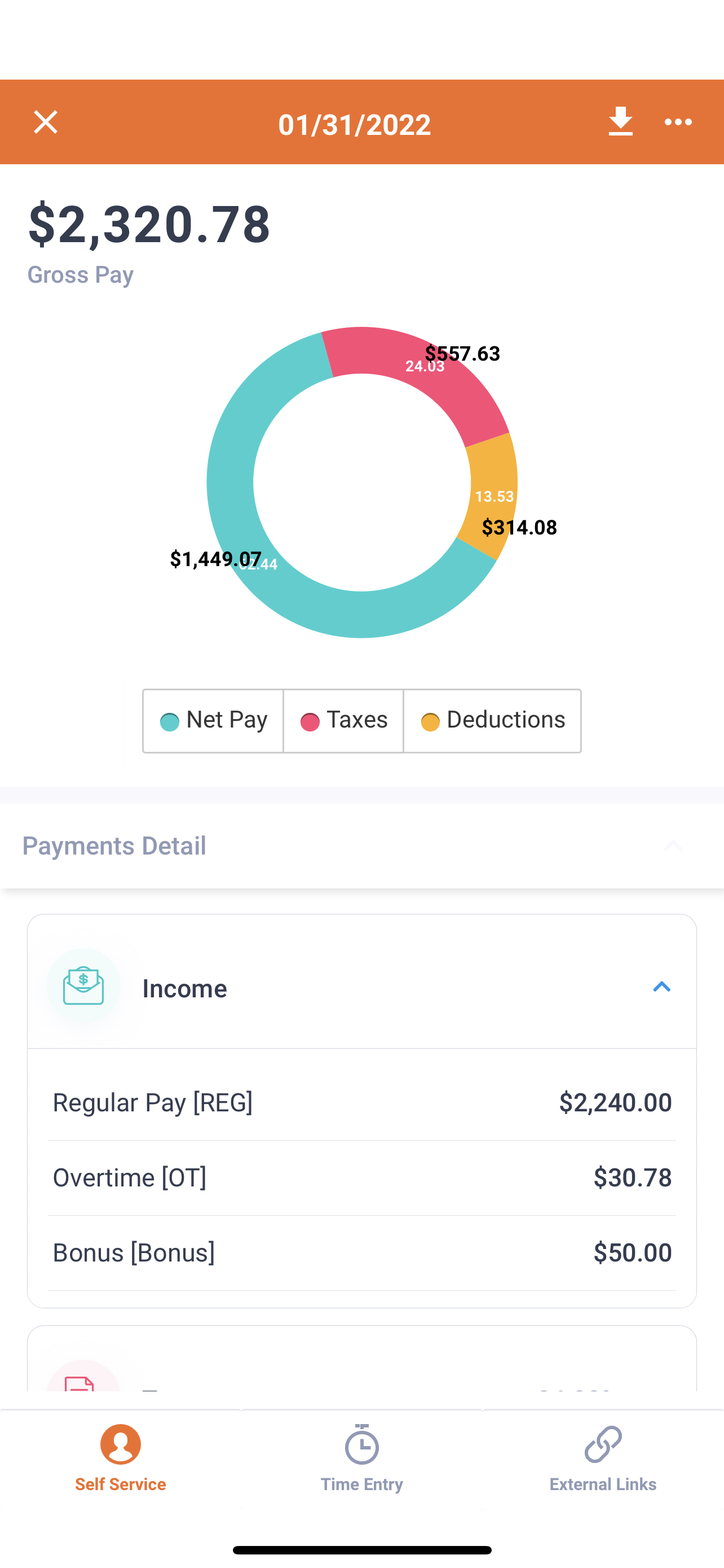Paycheck view on mobile app