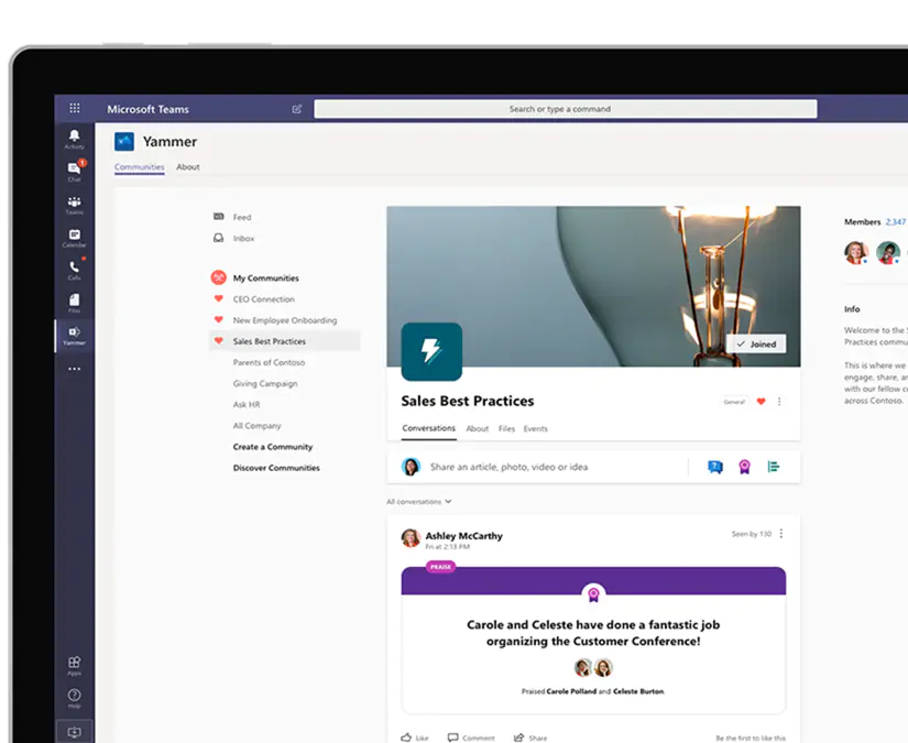 Yammer Software - Yammer community view