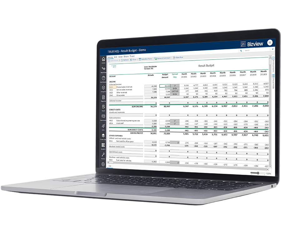 Bizview Software - 2