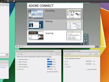 Adobe Connect Software - Adobe Connect layouts