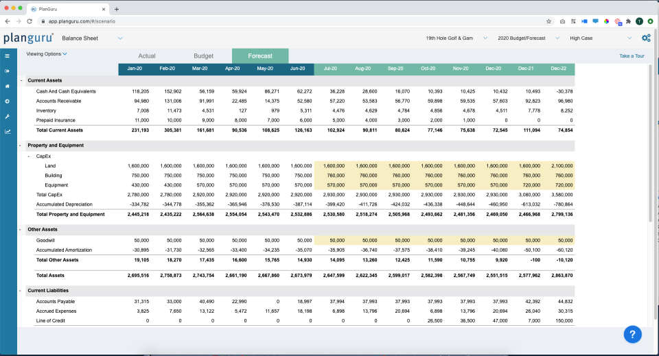 PlanGuru Software - Balance Sheet