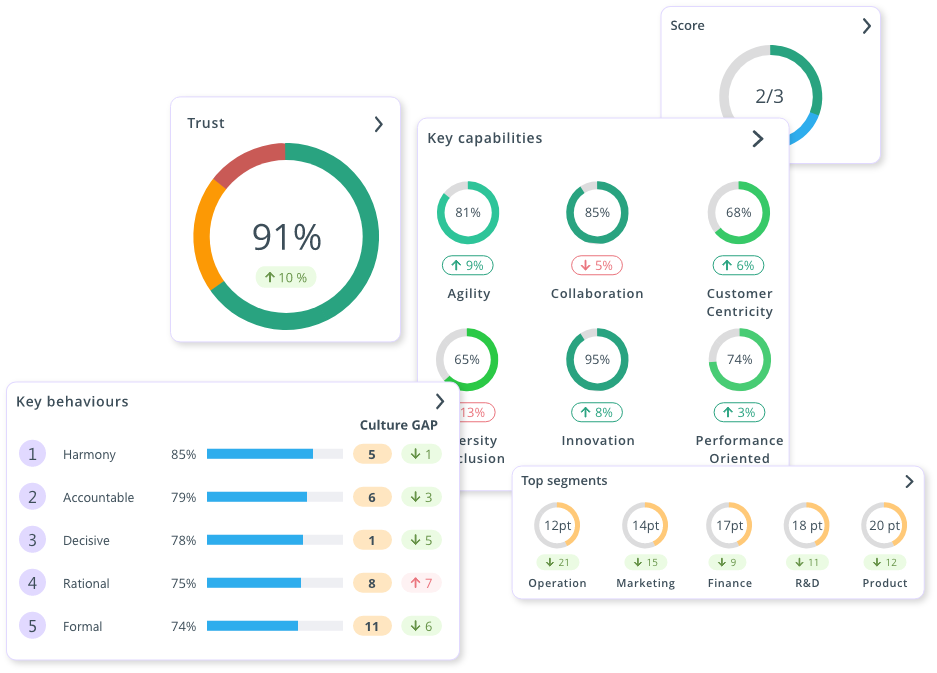 Think you can't measure culture? Think again. Uncover the key capabilities and behaviours you need to adapt to deliver your strategy.