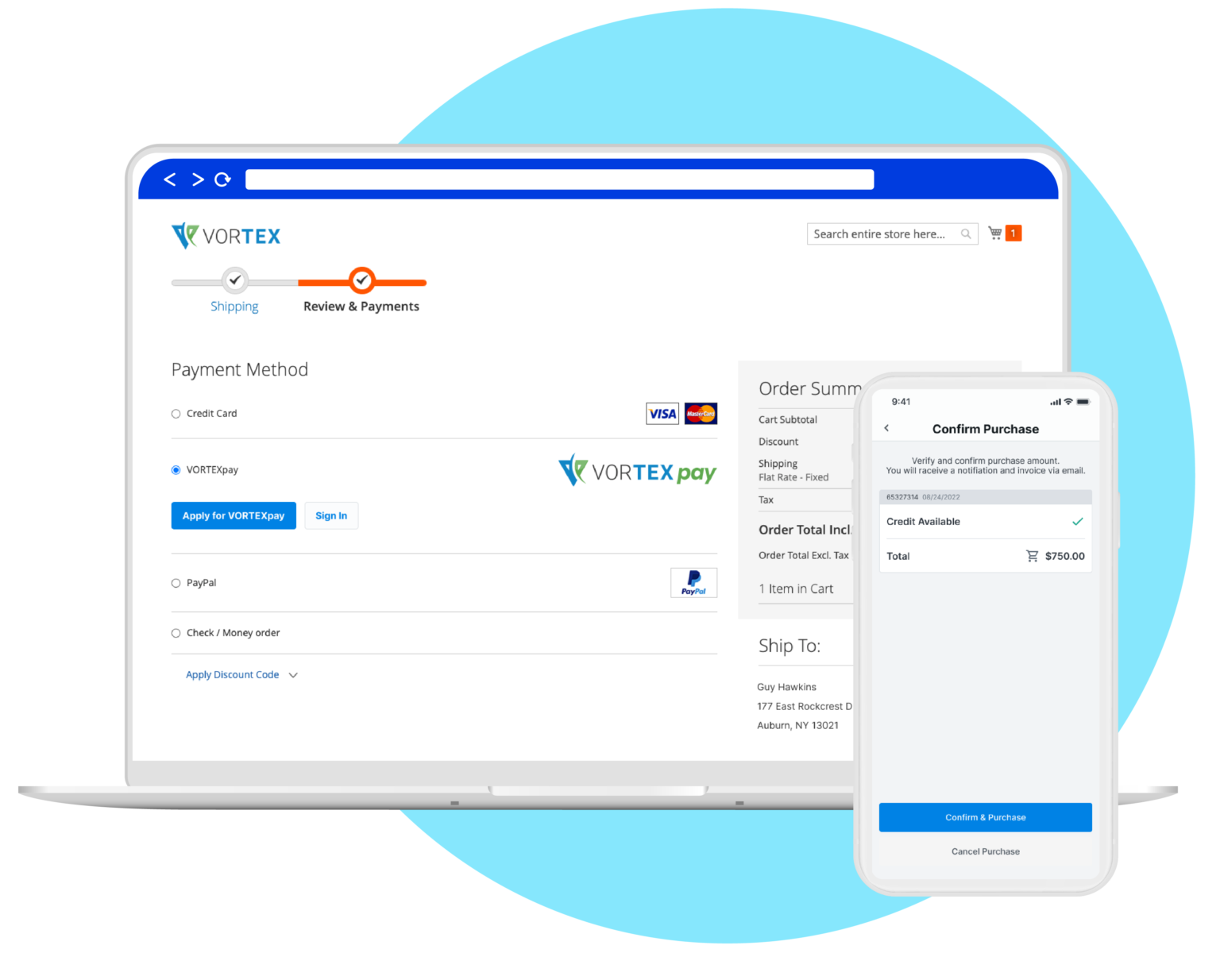 TreviPay screenshot: Desktop and Mobile Payment Portal