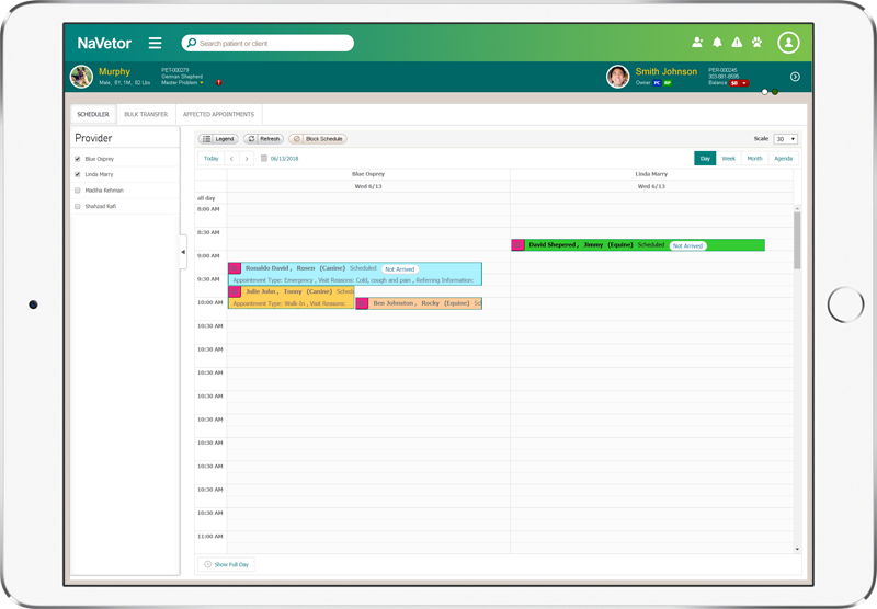 NaVetor Software - 3