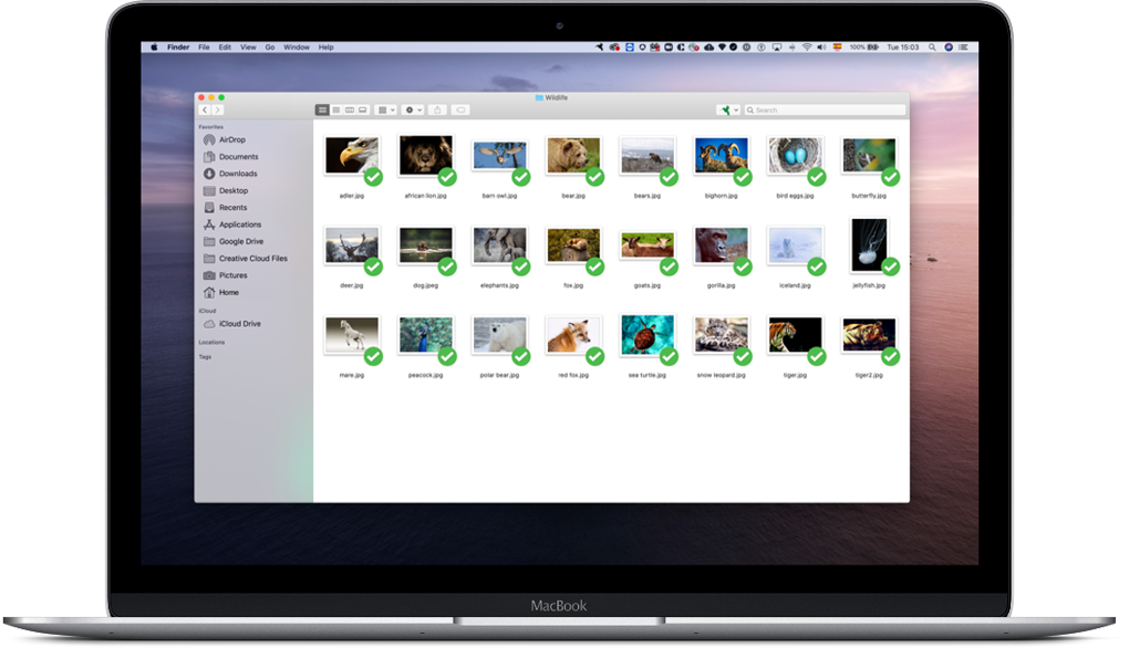 SugarSync Pricing, Alternatives & More 2023 Capterra