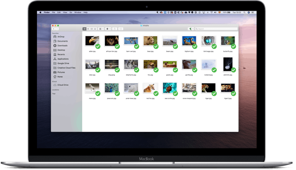 SugarSync Pricing, Alternatives & More 2023 Capterra