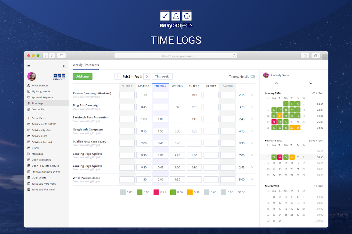 Easy Projects Time Logs