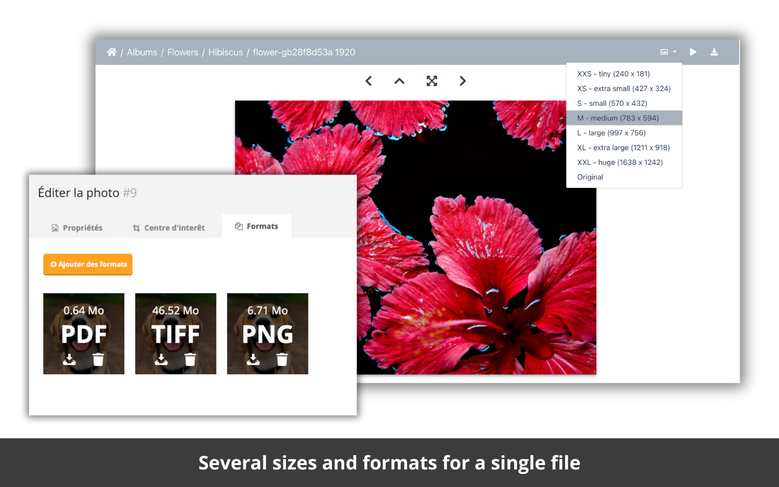 Piwigo Software - One asset, many formats and sizes