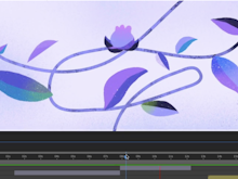 Adobe After Effects Software - 1
