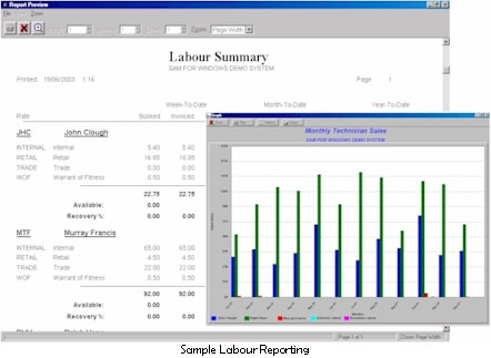 SAM Software - SAM labor summary