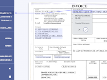Docsumo Software - Use the review tool to see the captured data, make edits and approve invoices
