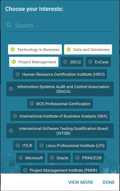 Skillsoft interests