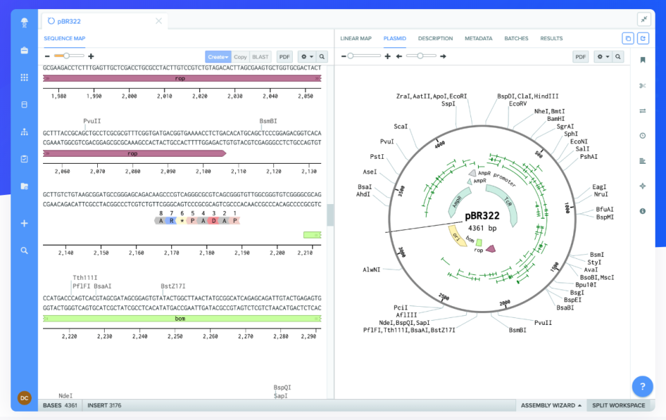 Benchling molecular biology suite