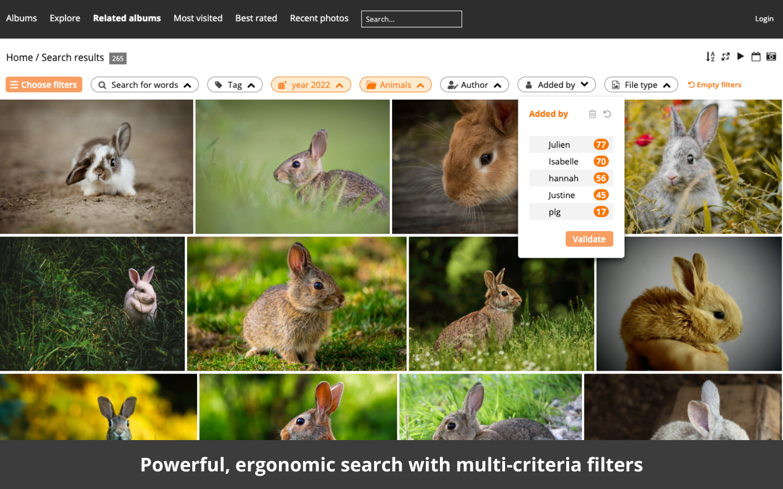 Piwigo Software - Powerful Search