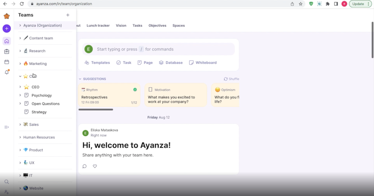 Ayanza screenshot: Ayanza dashboard