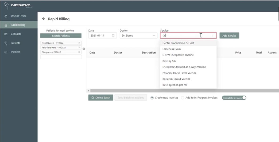 Cassadol Equine screenshot: Cassadol Equine rapid billing