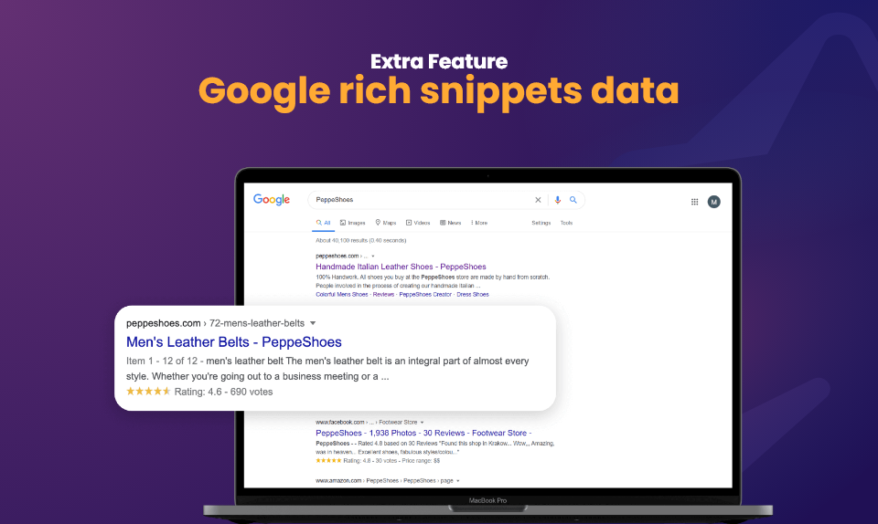 JustReview Software - Google Rich Snippets Data