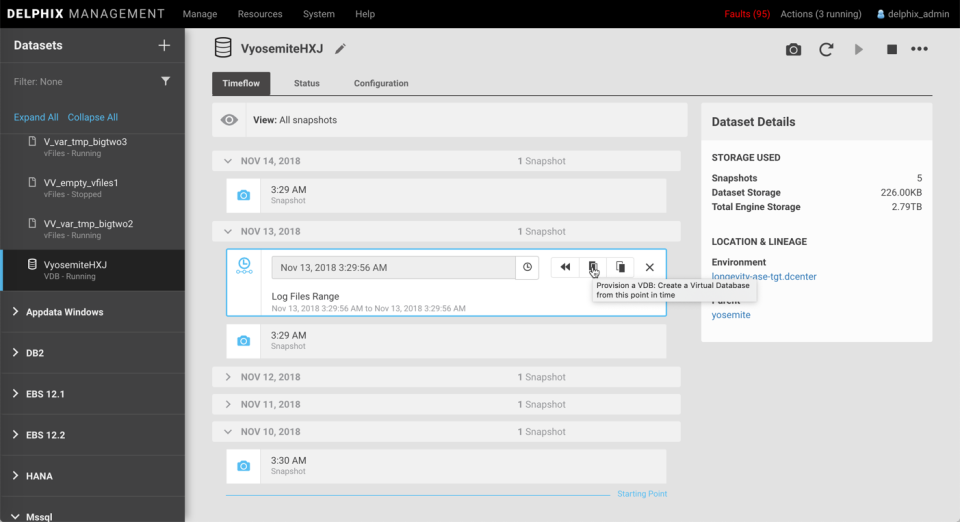 Delphix Software - 2