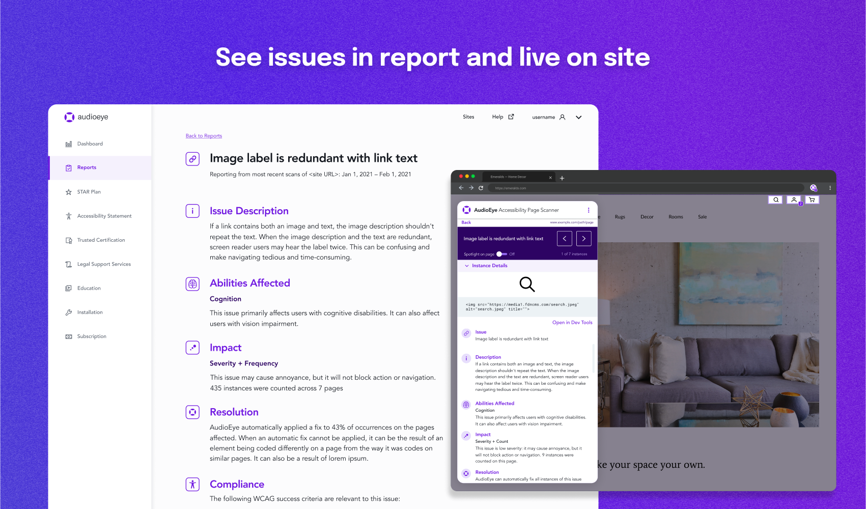 See issues in report and live on your site
