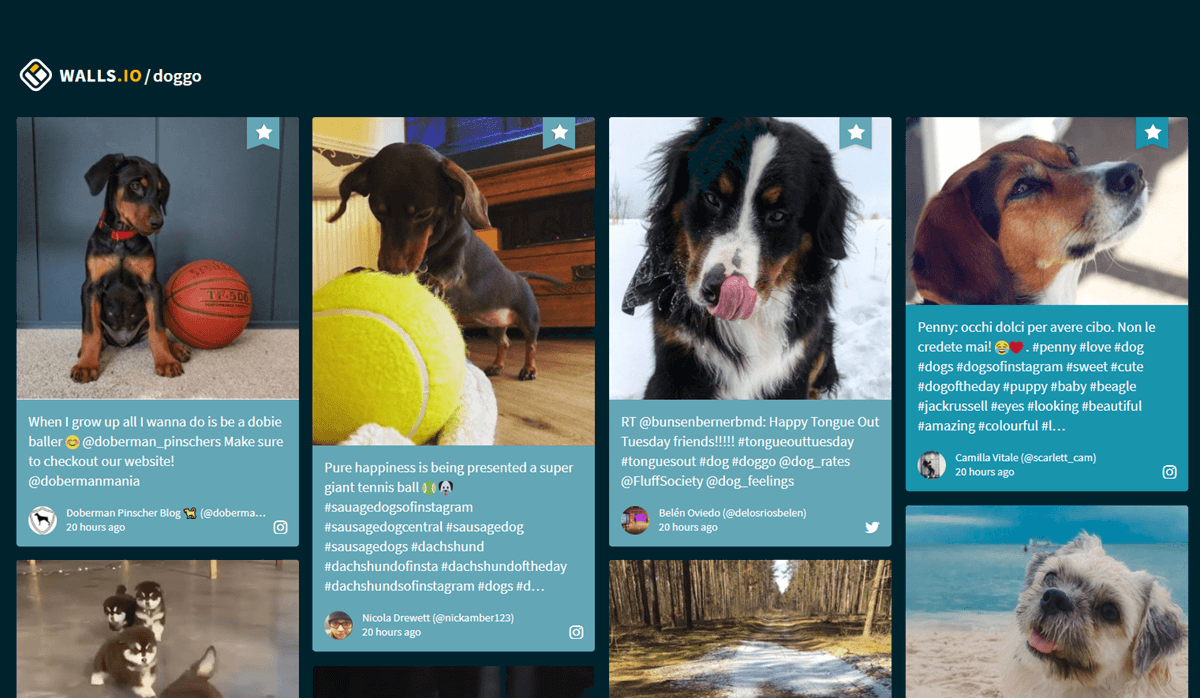 Walls.io keyword social wall