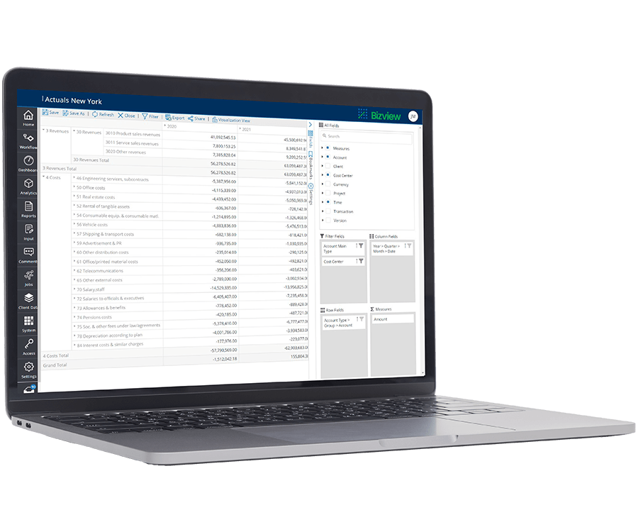 Bizview Software - 3