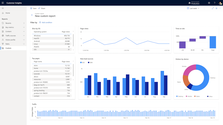 Dynamics 365 Customer Insights screenshot: Dynamics 365 Customer Insights custom reporting