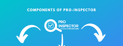 Pro-Inspector
