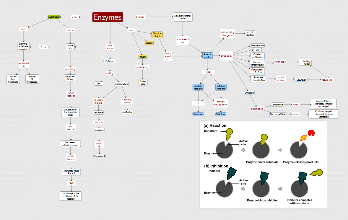 iMindQ Software - Use flowcharts for education
