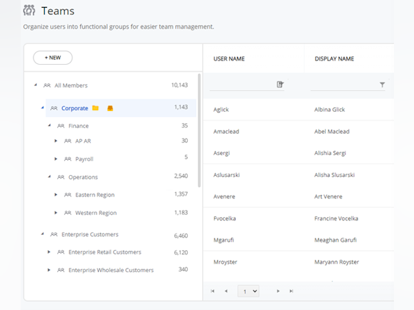 Accord LMS Software - Hierarchical Teams can represent traditional org charts, franchise stores, customer groups, or virtually any Learner cohort.  Teams support distributed administration with custom admin permissions based on Team and Admin Type.